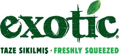 exotic-logo-color exotic-logo-color
