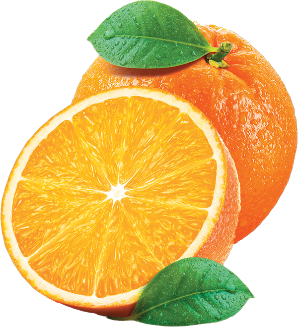 exotic-portakal-meyve