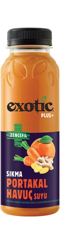 PLUS-ZENCEFİL-300ML_800