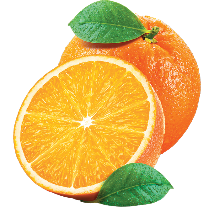 exotic-plus-dvit-meyve