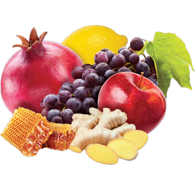 exotic-plus-propolis-meyve