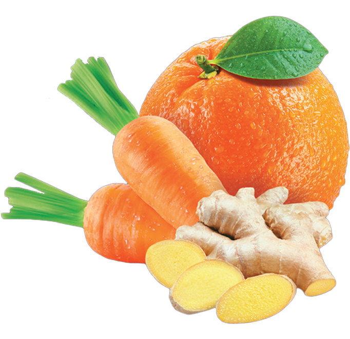 exotic-plus-zencefil-meyve