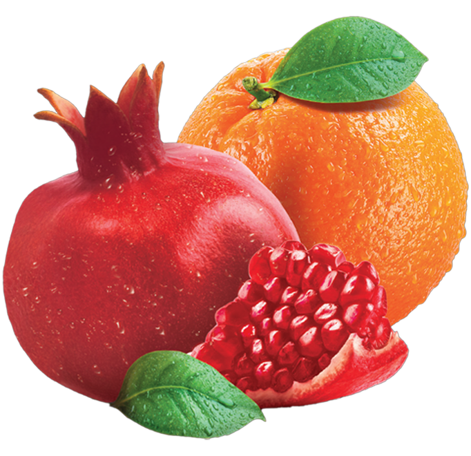 exotic-portakal-nar-meyve